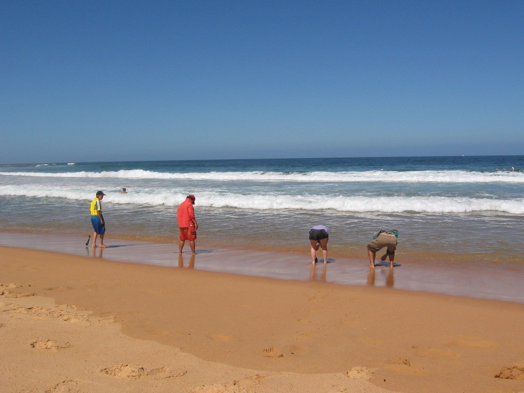 If you learn how to catch beach worms and pipis you will be well on the way to getting a feed of whiting off the beach © Gary Brown